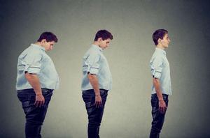 Fat Metabolism Program